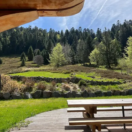 Chalet En Rondins La Bresse